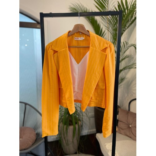 Blazer Tecido Risca Amarelo Led